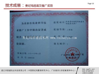 贵妃鸡选育奖
