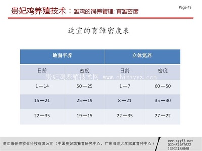 贵妃鸡饲养密度