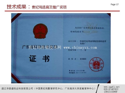 贵妃鸡科学技术奖